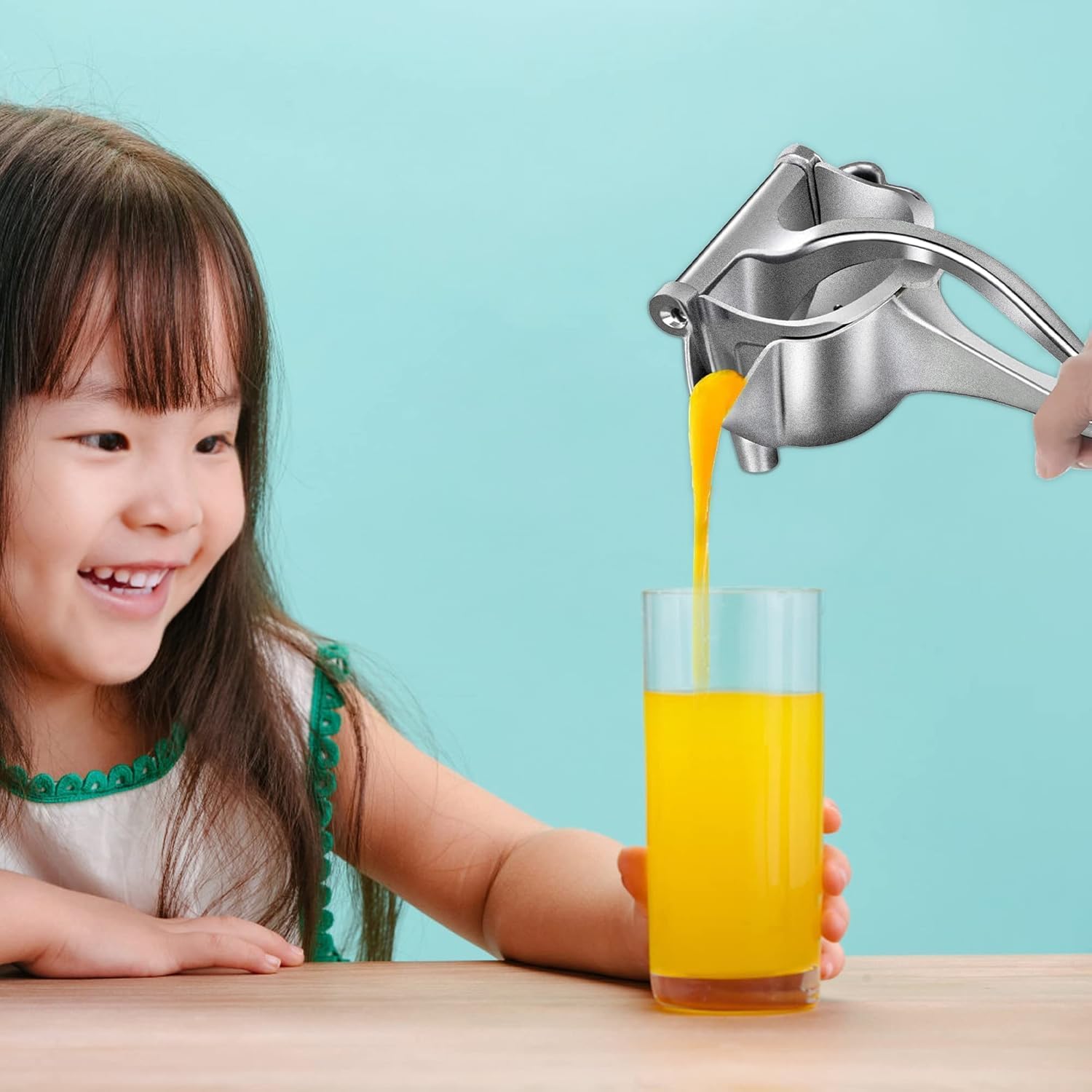Simple Fruit Juicer Press Squeezer